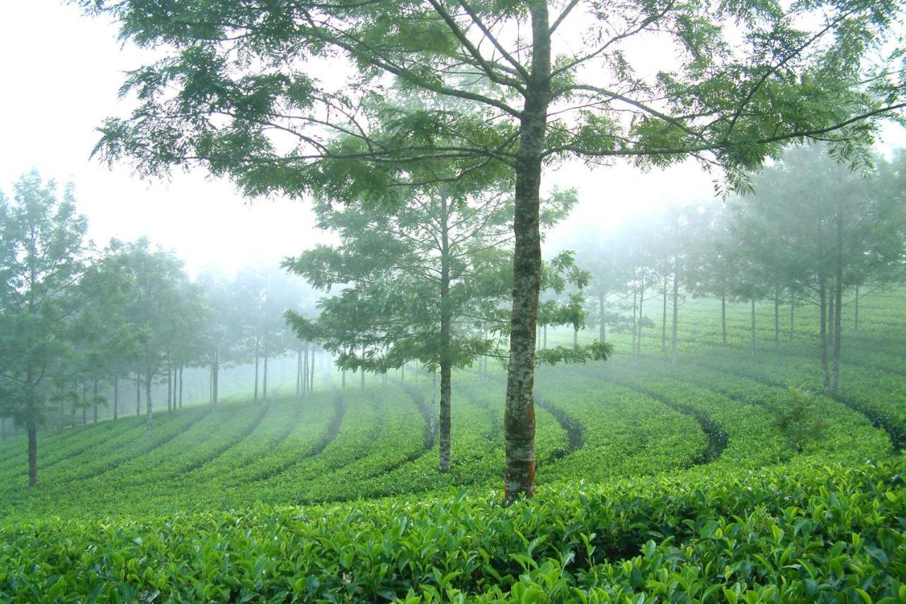 Appartamento Mistica Munnar Anachal Esterno foto