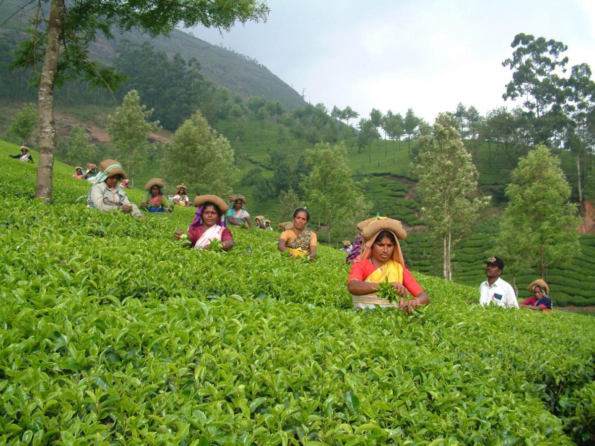 Appartamento Mistica Munnar Anachal Esterno foto