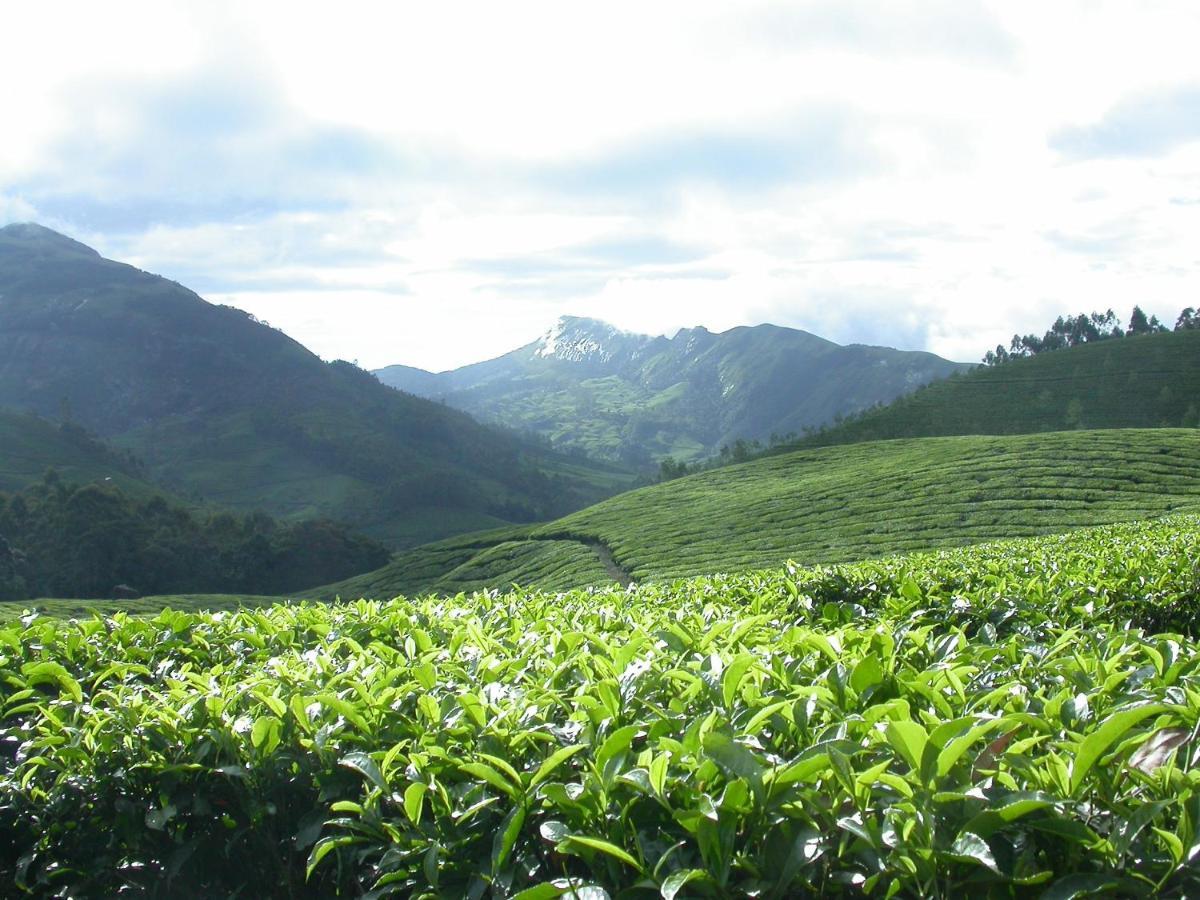 Appartamento Mistica Munnar Anachal Esterno foto