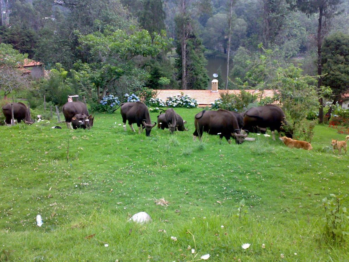 Appartamento Mistica Munnar Anachal Esterno foto