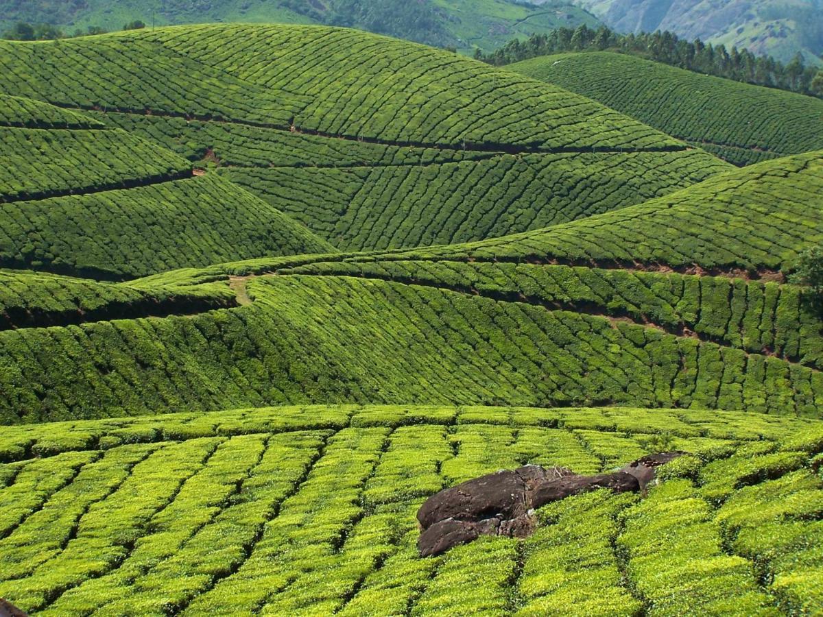 Appartamento Mistica Munnar Anachal Esterno foto