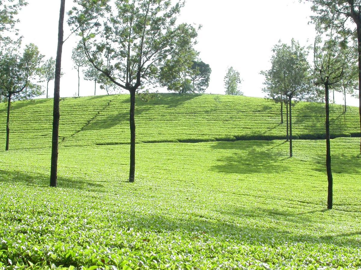 Appartamento Mistica Munnar Anachal Esterno foto