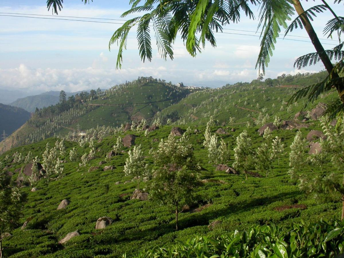 Appartamento Mistica Munnar Anachal Esterno foto