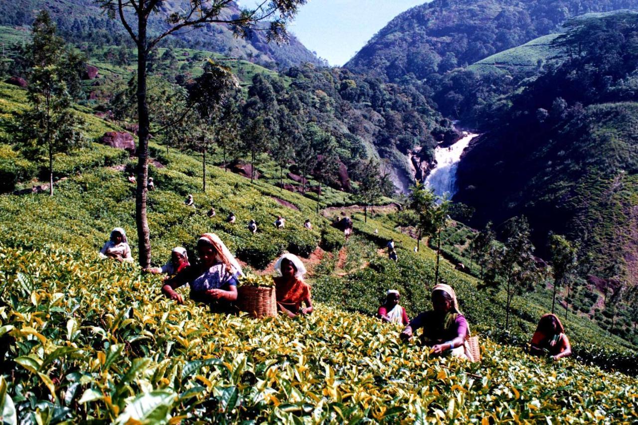 Appartamento Mistica Munnar Anachal Esterno foto